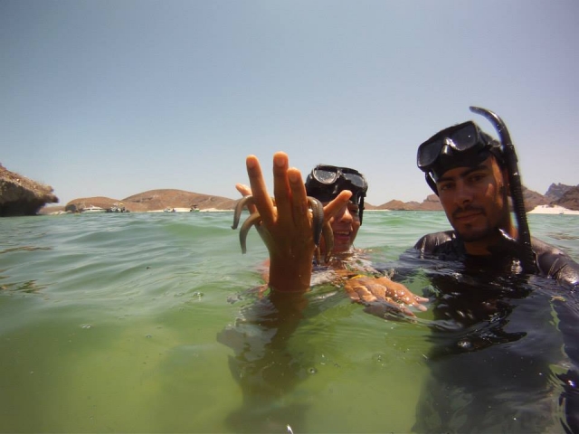  拉巴斯的自然风光 